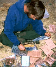 sănătate