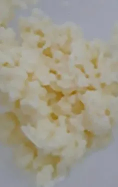 generală