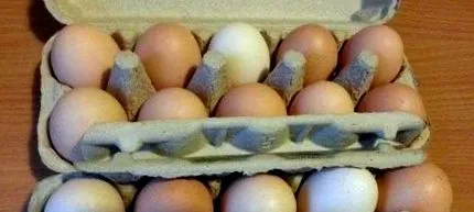 legume fierte