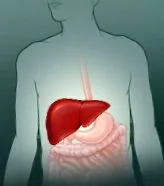 hepatitis