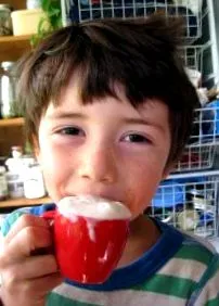 kefir