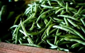 nutrition nutrition