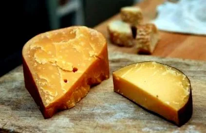 gouda