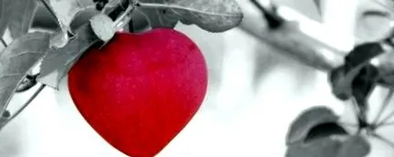 heart