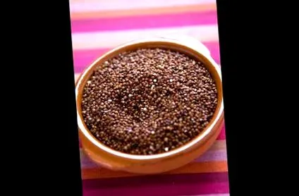calorii