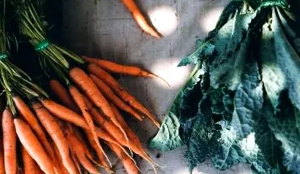 dietă