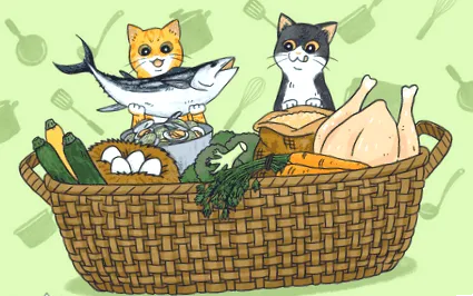 котка приготвени