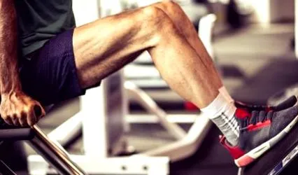 вените вените