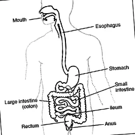 sindromul