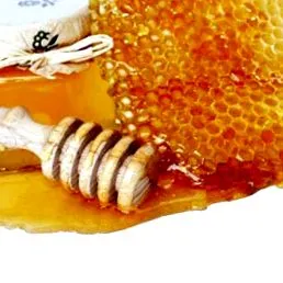 живот