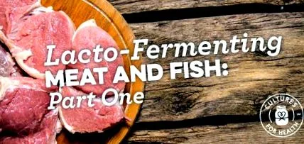lacto-fermentatoare