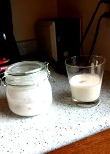 kefir