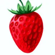 foods