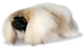 хранене