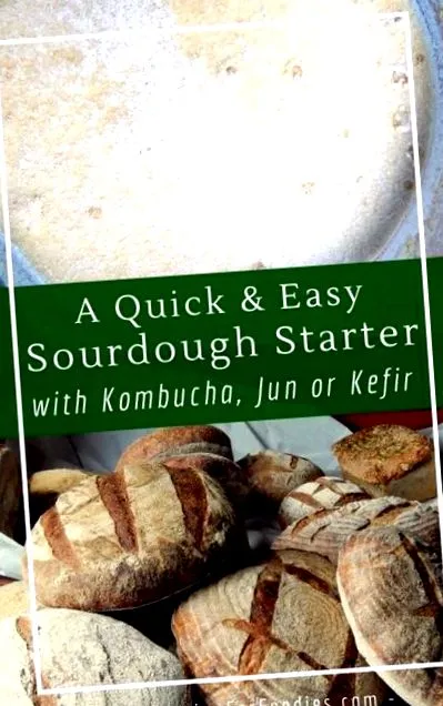 starter