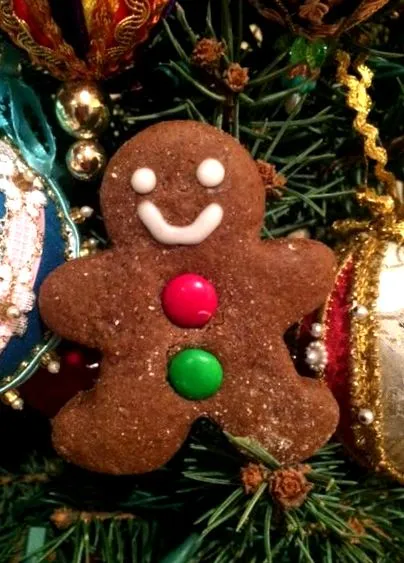 cookie-uri