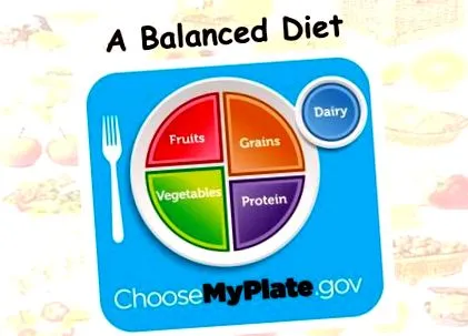 diet