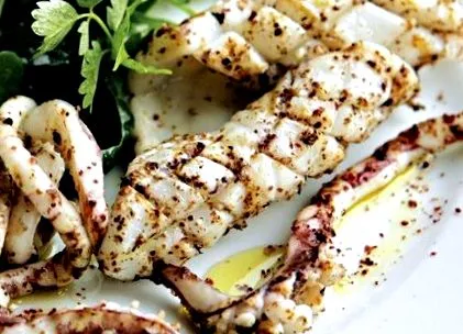 squid