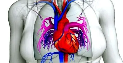mitral