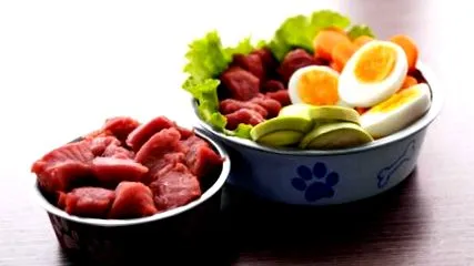кучета сурови