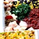 foodie югозападна