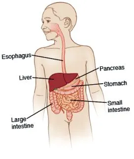 gasztroenteritis