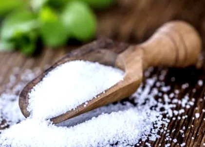 stevia