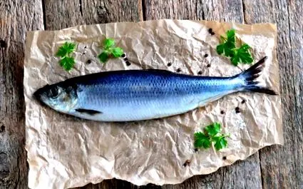 atlanticului