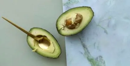 кожа