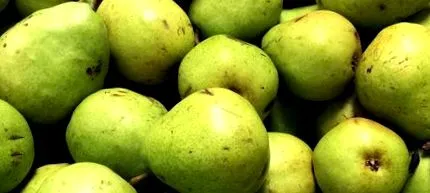 agrigate