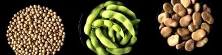 givaudan