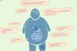 sciencedirect