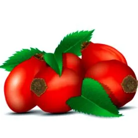 măceșelor
