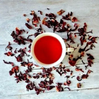 hibiscus