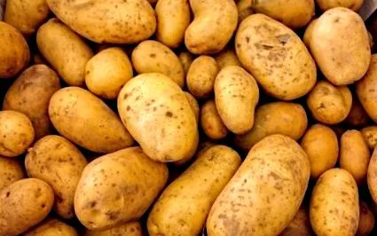 nutriție