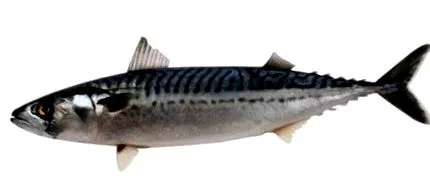 sănătoasă