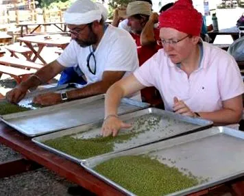 vegetariană