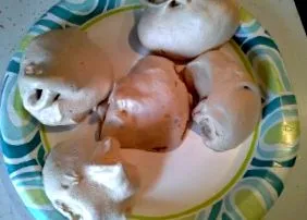 marshmallows