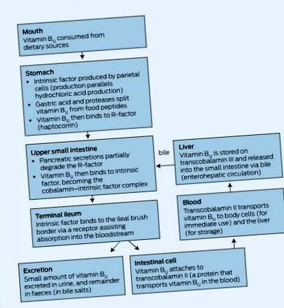 medical