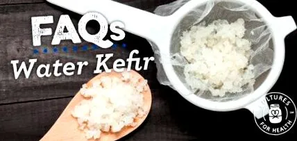 kefir