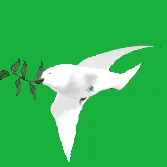 program