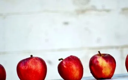 изключително каламбури