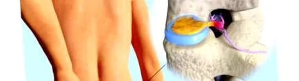 orthopedic orthopedic