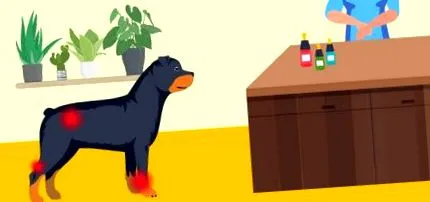 добавки кучета