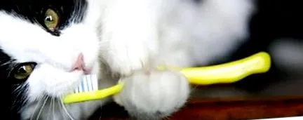 които