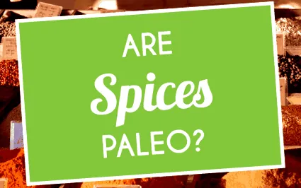 paleo