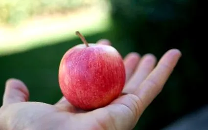apple