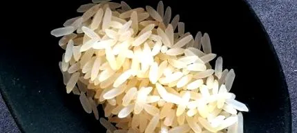 рибка