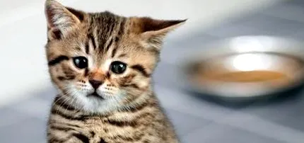 може