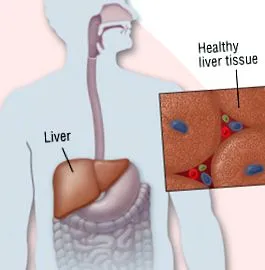 Harvard Health